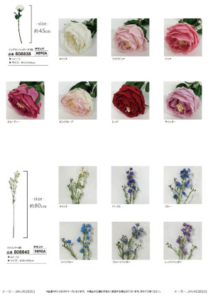 page:7