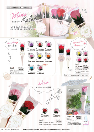 page:26