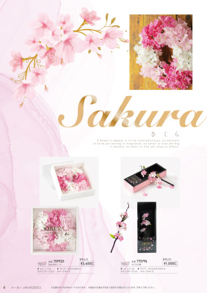 page:6