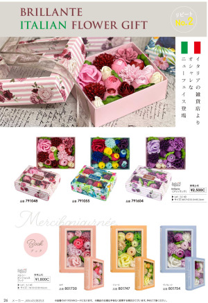page:26